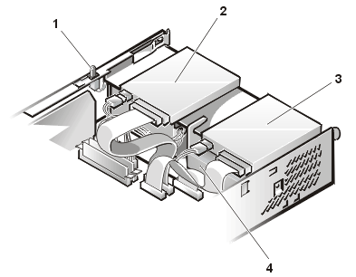 gator_08.gif (26626 bytes)