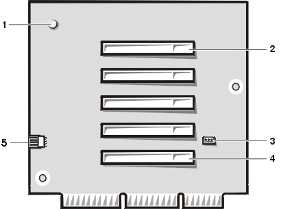 ExpCrd03.gif (12660 bytes)