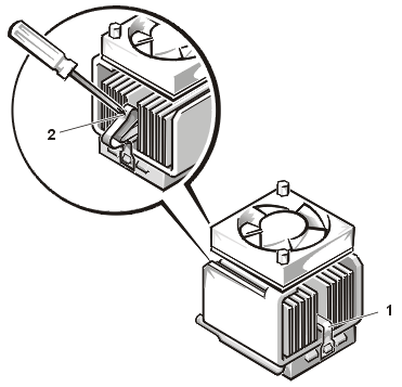 process01.gif (25420 bytes)