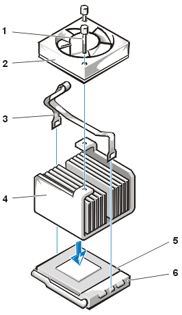 process04.gif (22697 bytes)